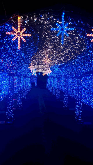 「サナルメ」さんからの投稿写真＠SAKU BLOOMイルミネーション2018