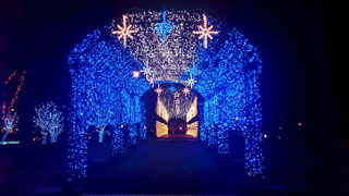 「サナルメ」さんからの投稿写真＠SAKU BLOOMイルミネーション2018