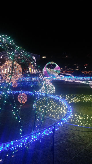 「リンゴちゃん」さんからの投稿写真＠SAKU BLOOMイルミネーション2018