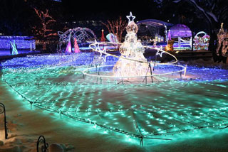 「わんた」さんからの投稿写真＠SAKU BLOOMイルミネーション2018