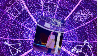 「nauman1711」さんからの投稿写真＠SAKU BLOOMイルミネーション2018