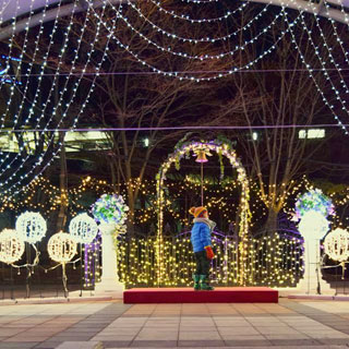 「nauman1711」さんからの投稿写真＠SAKU BLOOMイルミネーション2018