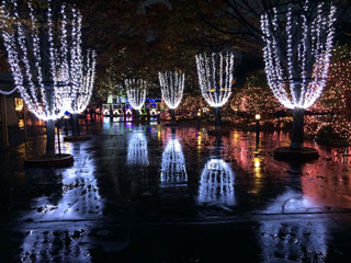 「ぜんちゃん」さんからの投稿写真＠スペースワールド イルミネーションナイト