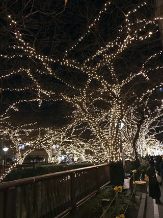 「hicky」さんからの投稿写真＠NAKAMEGURO CHRISTMAS 2018