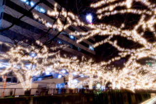 「リッキー」さんからの投稿写真＠NAKAMEGURO CHRISTMAS 2018