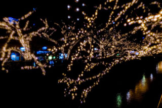 「リッキー」さんからの投稿写真＠NAKAMEGURO CHRISTMAS 2018