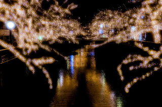 「リッキー」さんからの投稿写真＠NAKAMEGURO CHRISTMAS 2018