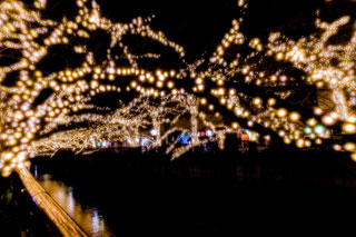 「リッキー」さんからの投稿写真＠NAKAMEGURO CHRISTMAS 2018