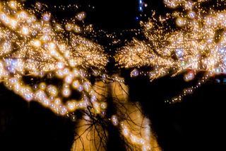 「リッキー」さんからの投稿写真＠NAKAMEGURO CHRISTMAS 2018