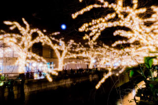 「リッキー」さんからの投稿写真＠NAKAMEGURO CHRISTMAS 2018