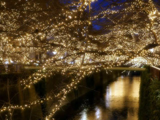 「ともぞ」さんからの投稿写真＠NAKAMEGURO CHRISTMAS 2018