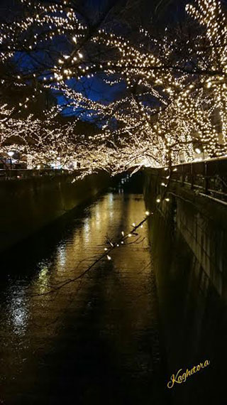 「越後の龍」さんからの投稿写真＠NAKAMEGURO CHRISTMAS 2018