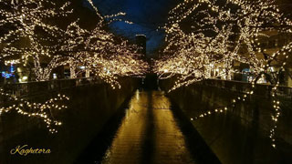 「越後の龍」さんからの投稿写真＠NAKAMEGURO CHRISTMAS 2018