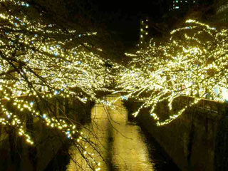 「M」さんからの投稿写真＠NAKAMEGURO CHRISTMAS 2018