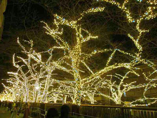 「M」さんからの投稿写真＠NAKAMEGURO CHRISTMAS 2018