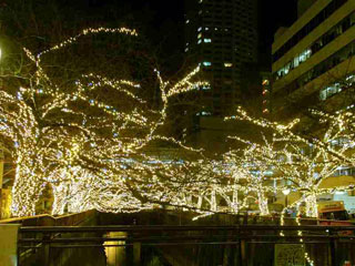 「M」さんからの投稿写真＠NAKAMEGURO CHRISTMAS 2018