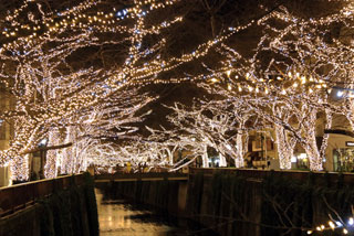 「川尻敏晴」さんからの投稿写真＠NAKAMEGURO CHRISTMAS 2018