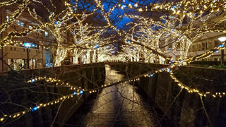 「越後の龍」さんからの投稿写真＠NAKAMEGURO CHRISTMAS 2018