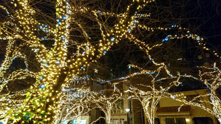 「越後の龍」さんからの投稿写真＠NAKAMEGURO CHRISTMAS 2018