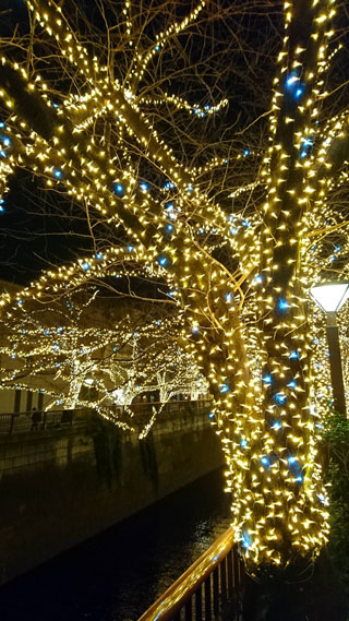 「越後の龍」さんからの投稿写真＠NAKAMEGURO CHRISTMAS 2018