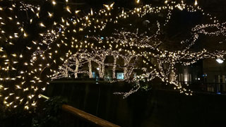 「越後の龍」さんからの投稿写真＠NAKAMEGURO CHRISTMAS 2018