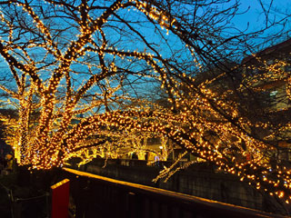 「まゆぼう」さんからの投稿写真@NAKAMEGURO CHRISTMAS 2018