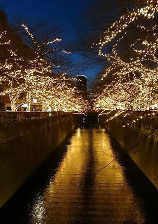 「越後の龍」さんからの投稿写真＠NAKAMEGURO CHRISTMAS 2018