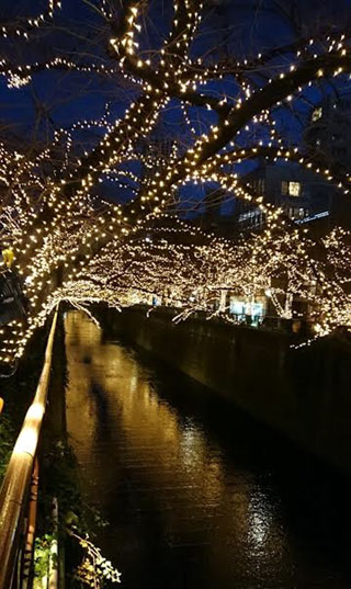 「越後の龍」さんからの投稿写真＠NAKAMEGURO CHRISTMAS 2018