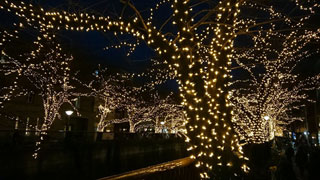 「越後の龍」さんからの投稿写真＠NAKAMEGURO CHRISTMAS 2018