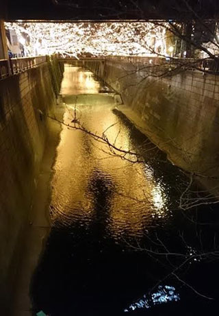 「越後の龍」さんからの投稿写真＠NAKAMEGURO CHRISTMAS 2018