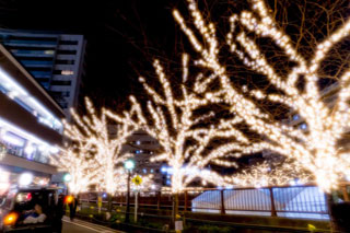 「リッキー」さんからの投稿写真＠NAKAMEGURO CHRISTMAS 2018