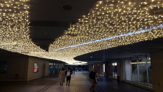 「ぽち」さんからの投稿写真＠横浜駅東口はまテラス「はまテラスイルミネーション」