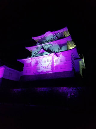 「みっちゃん」さんからの投稿写真＠小田原城 冬桜イルミネーション ～光と音が織りなすファンタジーショー～