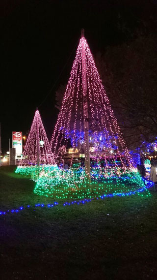 「massae」さんからの投稿写真＠新木戸大銀杏公園「大銀杏イルミネーション」