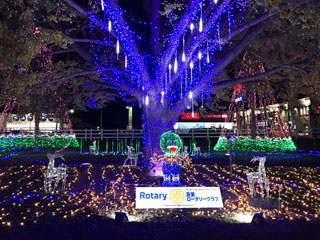 「massae」さんからの投稿写真＠新木戸大銀杏公園「大銀杏イルミネーション」