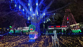 「とみちゃん」さんからの投稿写真＠新木戸大銀杏公園「大銀杏イルミネーション」