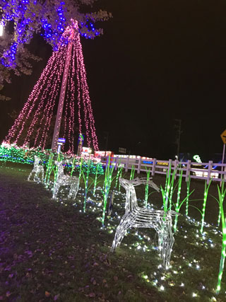 「とみちゃん」さんからの投稿写真＠新木戸大銀杏公園「大銀杏イルミネーション」