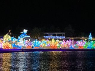 「愛知県 匿名希望」さんからの投稿写真