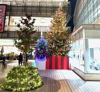 「パクチー」さんからの投稿写真＠TERRACE the CHRISTMAS