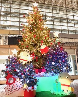 「パクチー」さんからの投稿写真