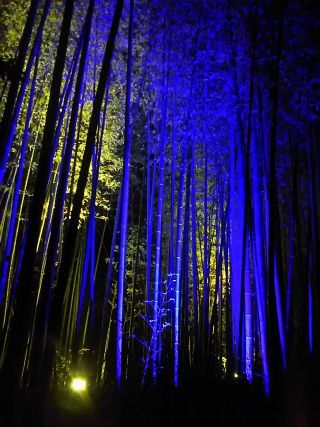 「風磨」さんからの投稿写真＠京都・嵐山花灯路-2021