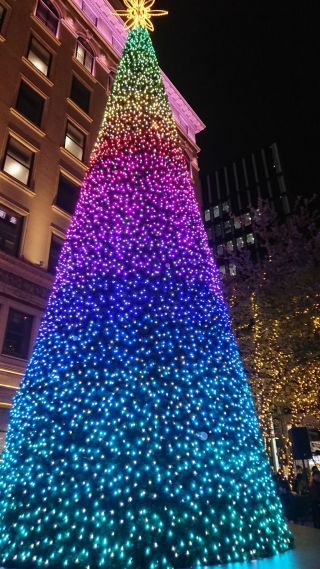 「りこ」さんからの投稿写真＠京橋エドグラン クリスマスイルミネーション