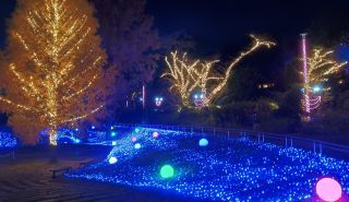 「あつし」さんからの投稿写真