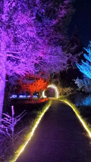 「あつし」さんからの投稿写真＠国営武蔵丘陵森林公園スターライトイルミネーション