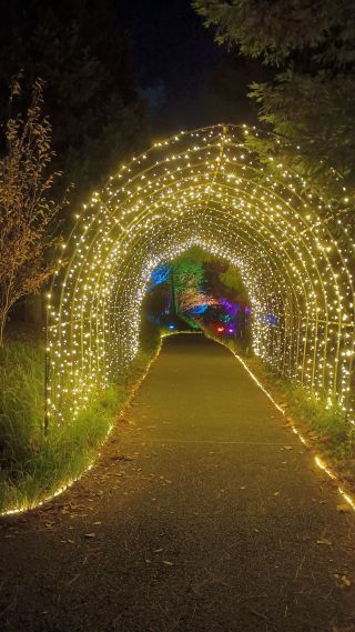 「あつし」さんからの投稿写真