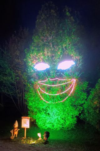 「あつし」さんからの投稿写真