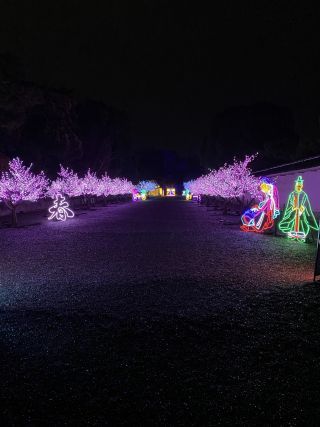 「たかちゃん」さんからの投稿写真＠京都二条城イルミナージュ