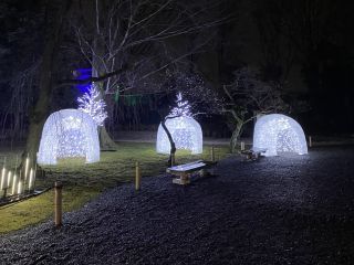 「たかちゃん」さんからの投稿写真＠京都二条城イルミナージュ