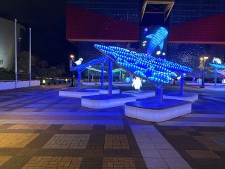 「匿名希望」さんからの投稿写真＠海遊館イルミネーション