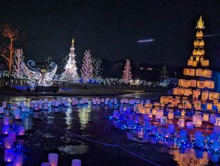 「カモノハシ」さんからの投稿写真＠TOKIWAファンタジア2025